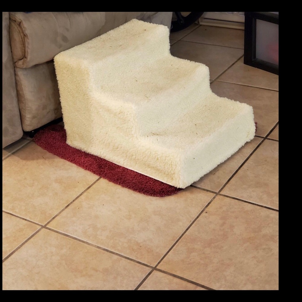 Doggy stair case